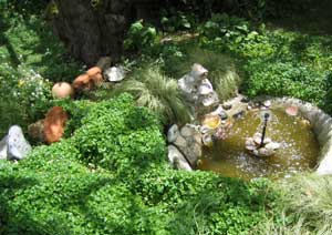 In the garden: the fountain