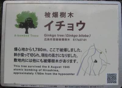 Hiroshima ginkgos: Myojoin