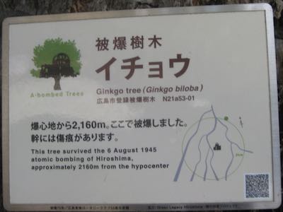 Hiroshima ginkgos: Anraku-ji