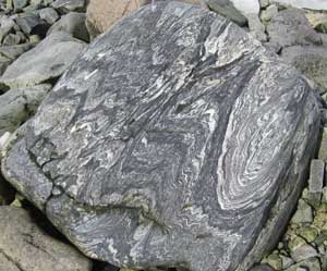 Glacial boulder, Danco Island, Antarctic Peninsula