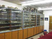 University of Witwatersrand: Medical School fossil room