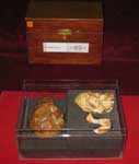 University of Witwatersrand: Taung skull in box