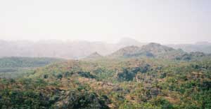 Mahadeo Hills near Pachmarhi, Madya Pradesh