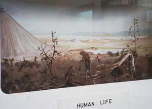 Evolution dispaly, Kamala Museum, Uganda