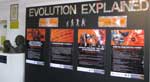 Evolution exhibition, Transvaal Museum